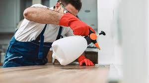 Best Real Estate Pest Inspections  in Clifton Knolls Mill Creek, NY